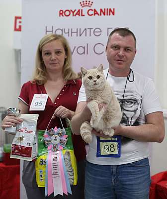   11-12  2015,    bri-98-169A4917 copy.jpg